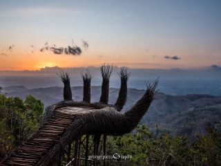 Pengger Pine Forest@Yogyakarta