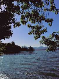 West Lake, Hangzhou🌿🌱🌳