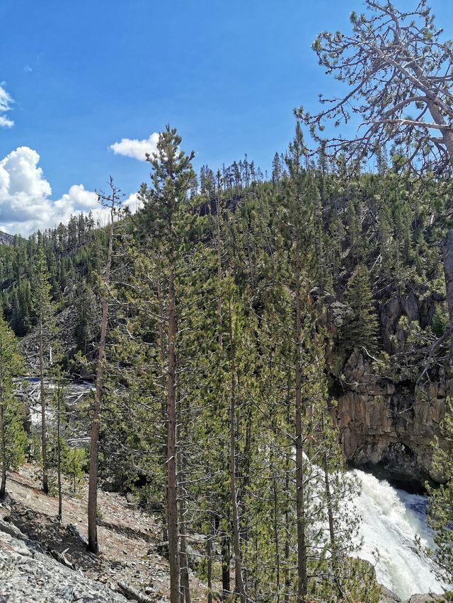 Yellowstone National Park, walking on the wilderness. (3)