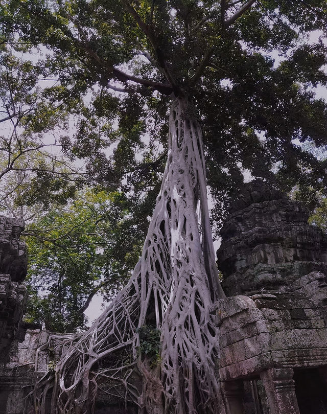 Angkor Wat