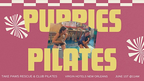 Puppies and Pilates | Virgin Hotels New Orleans