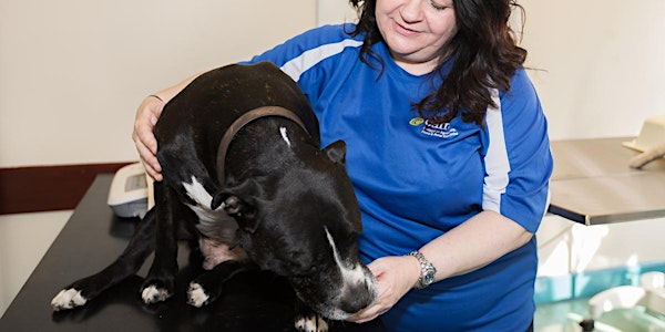 Veterinary Nursing Courses Open Day: Wed 8th Oct, 12pm, 2pm, 4pm, 6pm | College of Agriculture Food & Rural Enterprise (CAFRE) Greenmount Campus