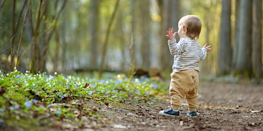 Tots Go Wild - Summer Special | Black Park Country Park