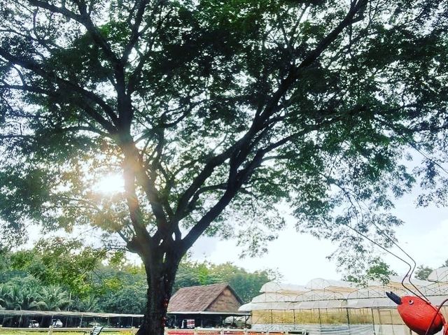 สูดอากาศใกล้ชิดธรรมชาติ อ.แจ้ห่ม ลำปาง