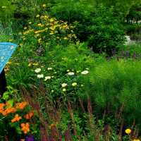 The Myriad Botanical Gardens