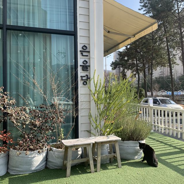 [🇰🇷, 김해] 귀여운 고양이를 만날 수 있는 핫한 카페, 은율당 😺