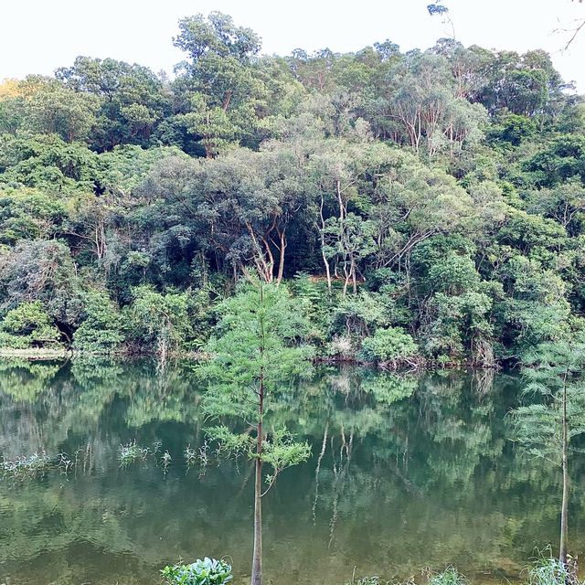 港版輕井澤-流水響水塘🏞