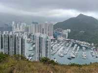 香港行山路徑-玉桂山｜鴨利排🏞挑戰級☠️