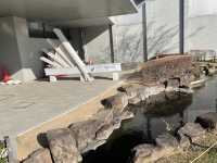 岐阜🐠世界最大級の淡水魚水族館🐡【アクアトト岐阜】