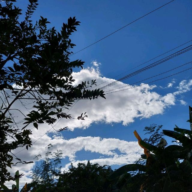 clear sky