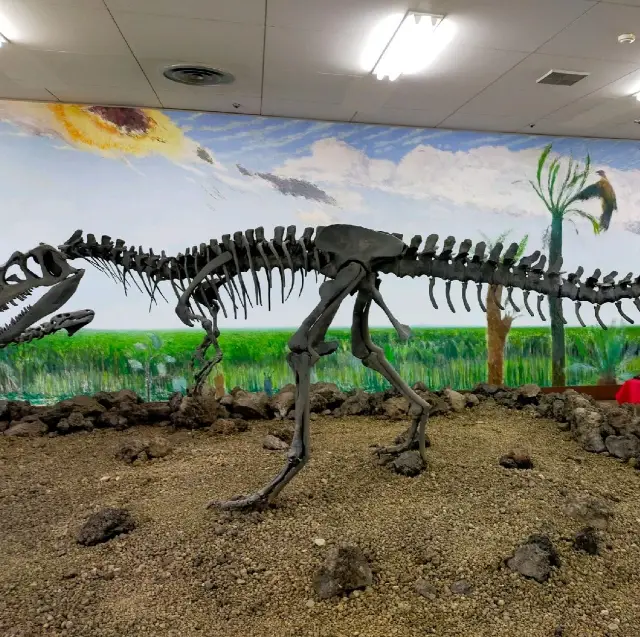 鹿児島宝山ホール内　恐竜ミュージアム