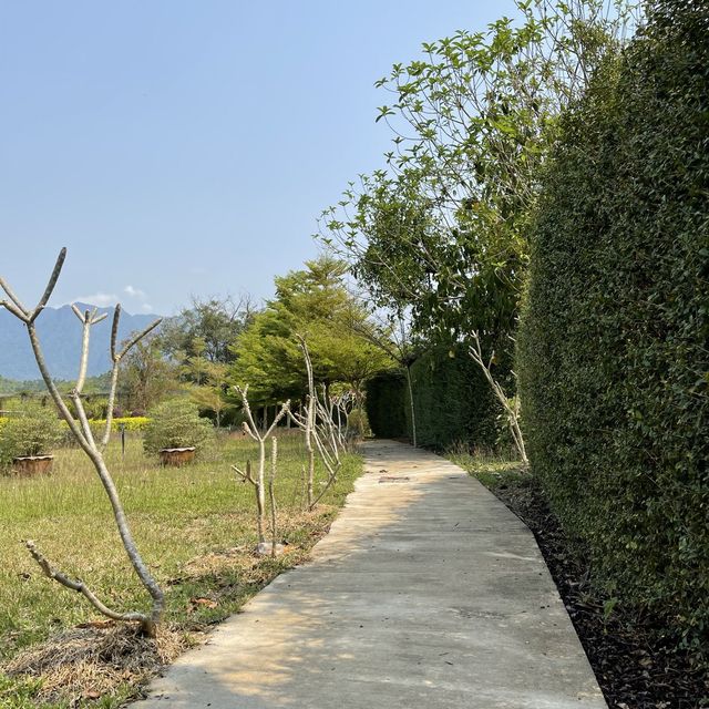 🪴สวนดอกไม้ Phou Pha Champa Lao ພູຜາຈຳປາລາວ