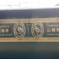 【一度は乗りたい観光列車】やませみかわせみ