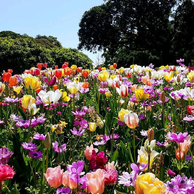 山下公園