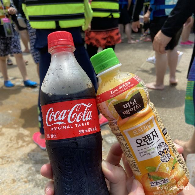 주말 캐리비안베이 오픈런