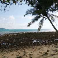 ป่าตอง..ชายหาด..ที่ไม่เคยหลับ