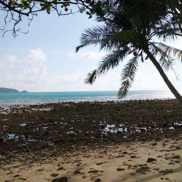 ป่าตอง..ชายหาด..ที่ไม่เคยหลับ
