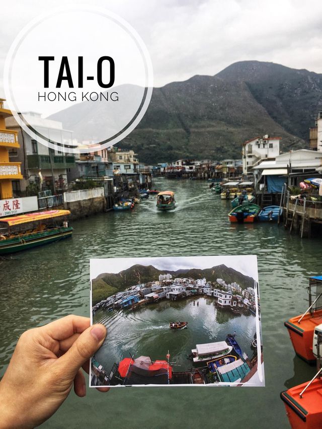 เดินชิวฟีลบ้านๆและปีนเขาที่ Tai-O ฮ่องกง