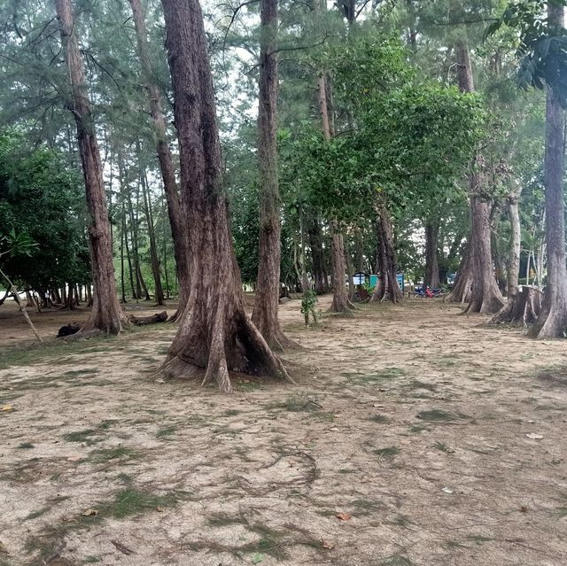 อุทยานแห่งชาติ หาดนพรัตน์ธารา-หมู่เกาะพีพี