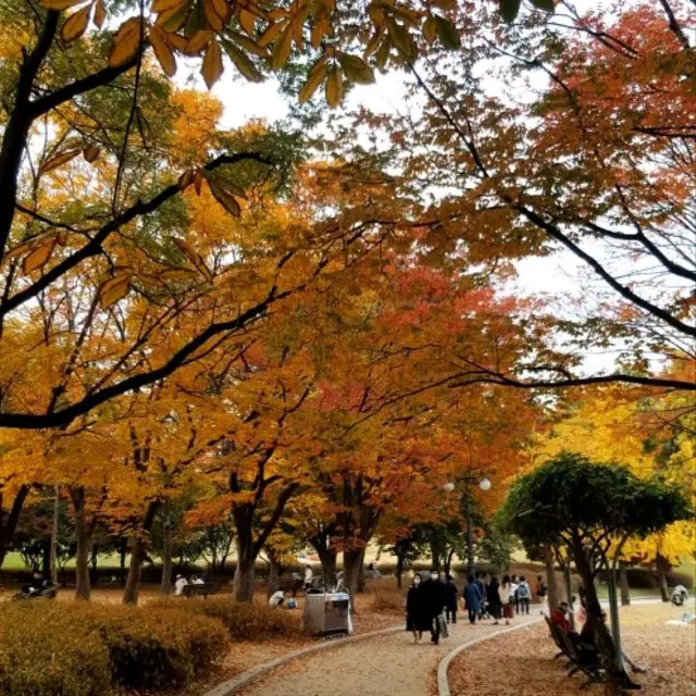 Autumn at Seoul Olympic Park