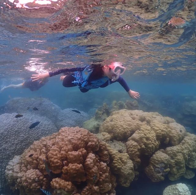 Snorkelling at Sattahip