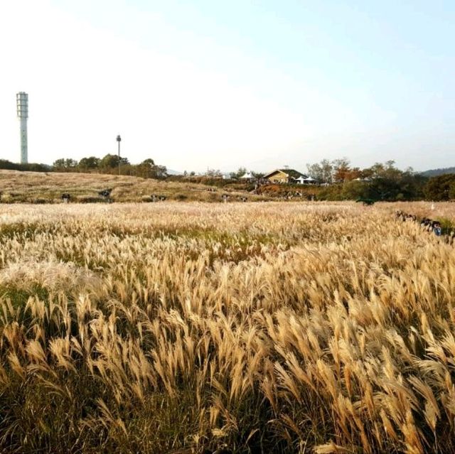 Early autumn at Hanuel Park