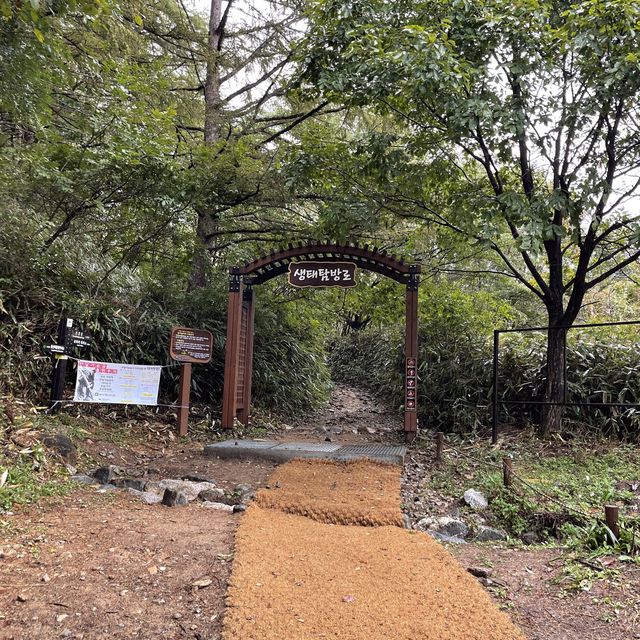 지리산 국립공원 단풍놀이🍁🍂