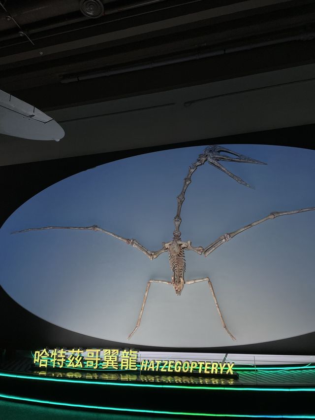 【限定活動】適合一家大細一齊參觀嘅展覽ʕ •ᴥ•ʔ 【限定活動】適合一家大細一齊參觀嘅展覽ʕ •ᴥ•ʔ