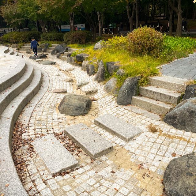 알록달록 단풍을 수놓은 양재시민의숲🍁