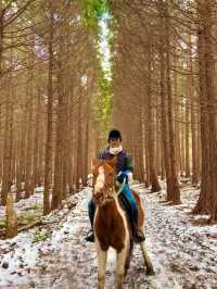탁 트인 제주 자연에서, 색다른 경험을 하고싶다면?🐎 <뱅듸승마클럽>