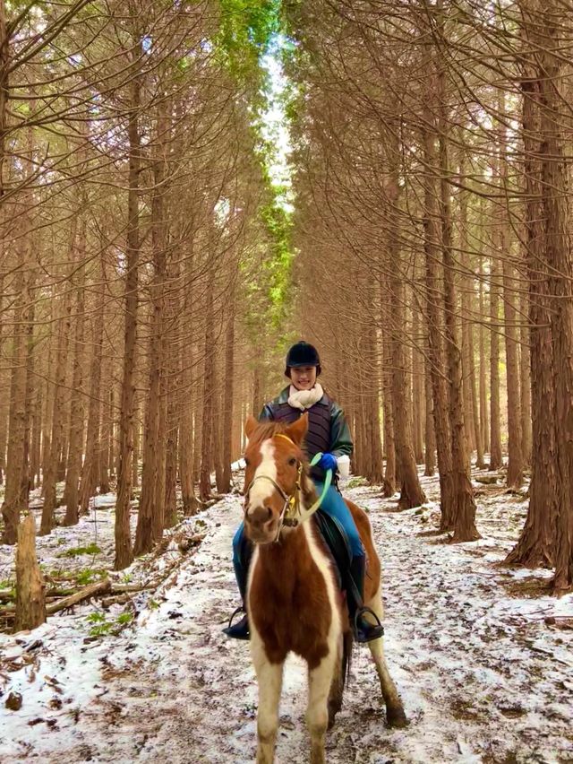 탁 트인 제주 자연에서, 색다른 경험을 하고싶다면?🐎 <뱅듸승마클럽>