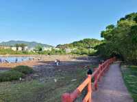 【CP值最高的紅樹林~泥涌🌴】