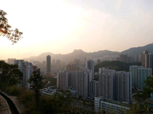 【五臟俱全的公園~佐敦谷公園⛲】