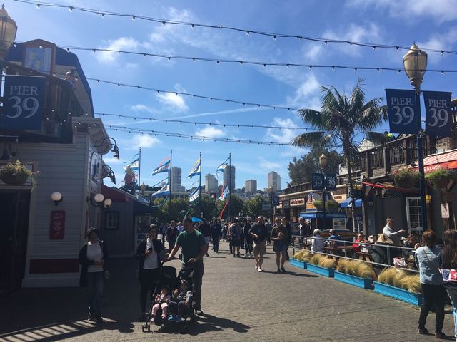 【楽しすぎるショップ街】アメリカ・サンフランシスコのPier39を楽しみ尽くした