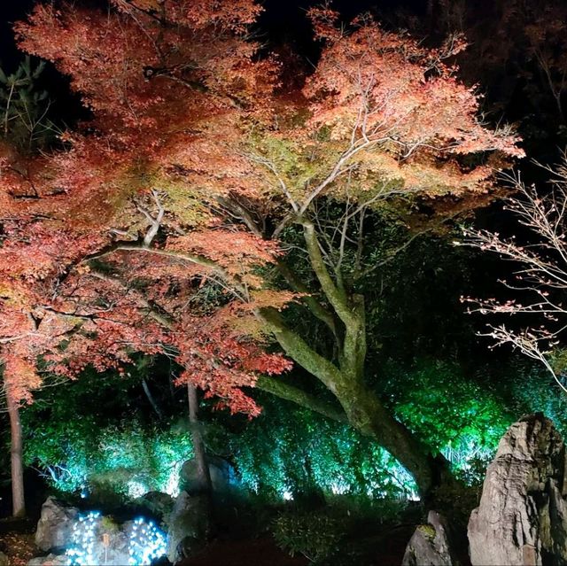 嵐山宝厳院ライトアップ