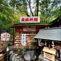 良縁・子宝・学問【野宮神社⛩️】✨