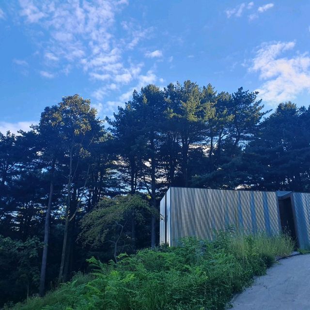 아틴마루, 사색하기 좋은 양평 숲 속 작은 캐비넷 감성 숙소