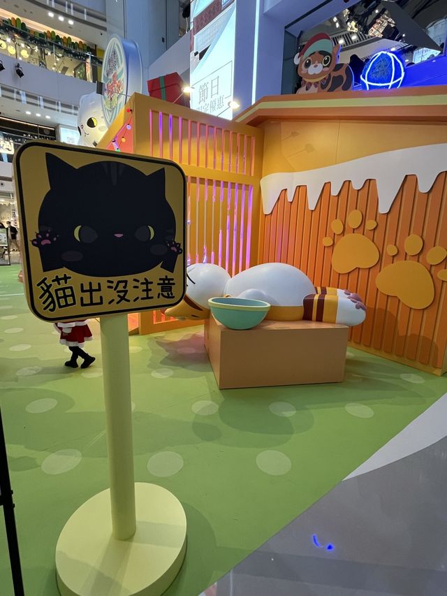貓奴們必到皇室堡貓貓紙箱市集 貓奴們必到皇室堡貓貓紙箱市集