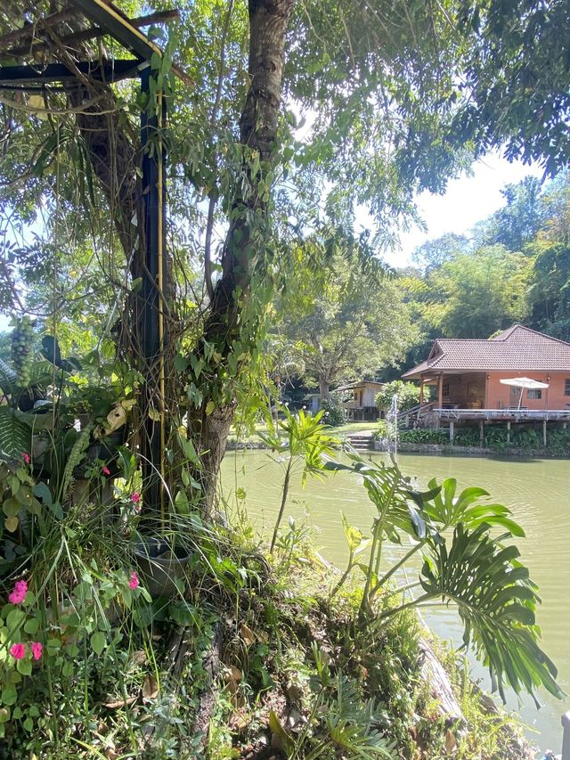 ที่พักสวย สวนองุ่นนิศาชล | เชียงดาว | เชียงใหม่