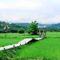 สะพานทุ่งนาน้อยเขาหล่น