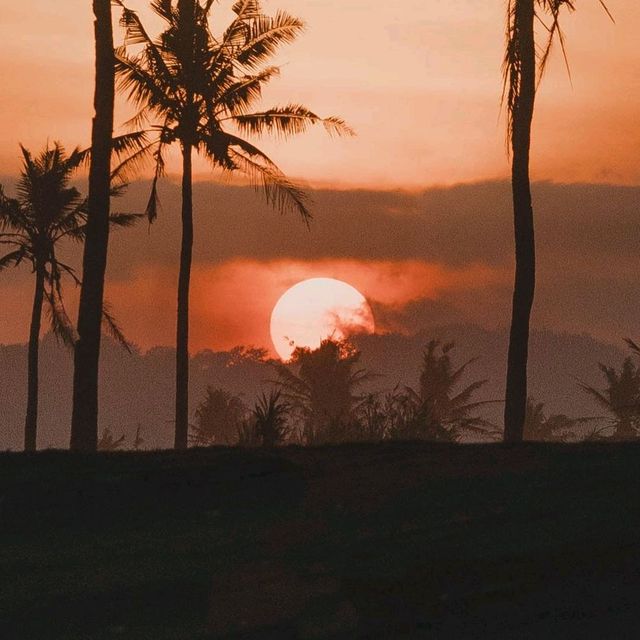 LAMPON BEACH - BANYUWANGI