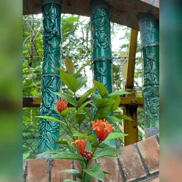 青松觀