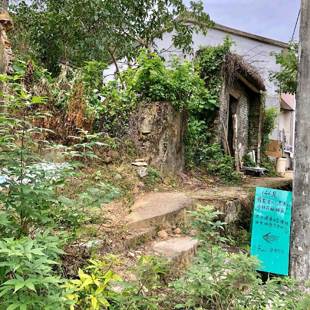 荔枝窩村