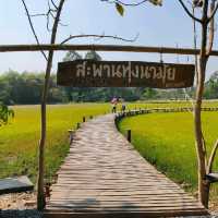สะพานทุ่งนามุ้ย