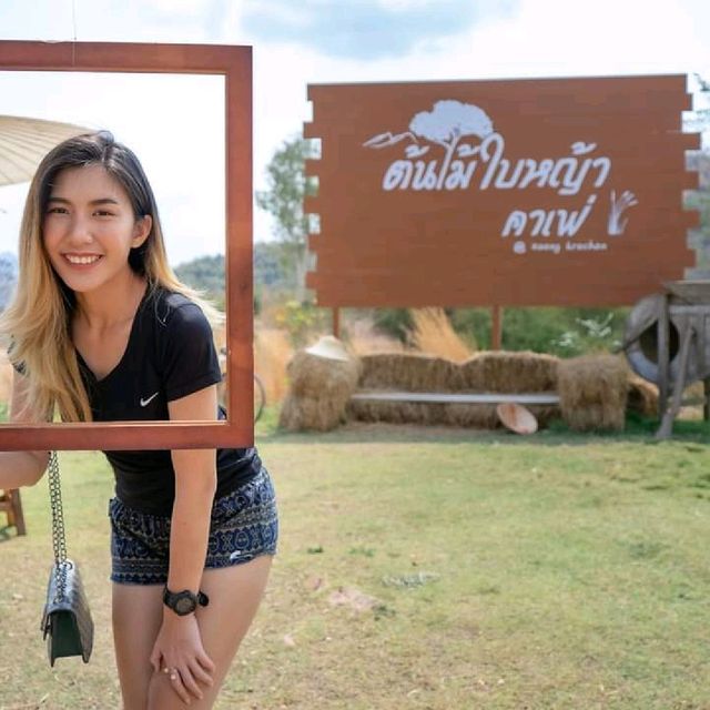 ต้นไม้ใบหญ้า Cafe' at แก่งกระจาน 🏕