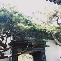 豫園·上海明代園林👍🏻濃厚歷史文化