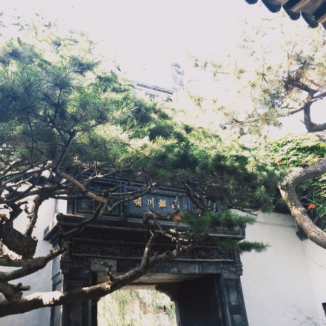 豫園·上海明代園林👍🏻濃厚歷史文化
