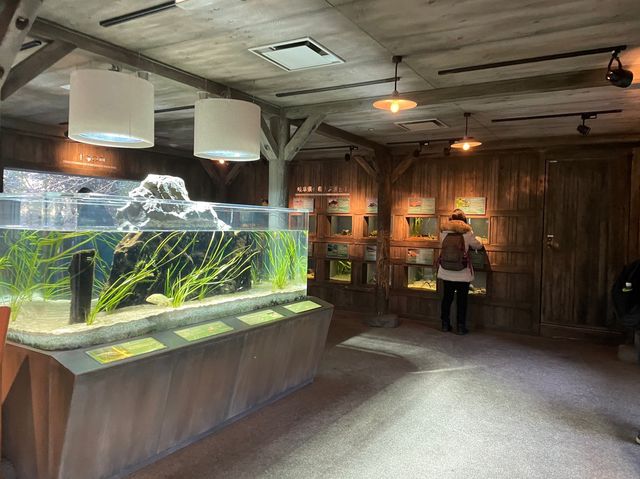 岐阜県•各務原市🐠世界最大級の淡水魚水族館【アクアトト岐阜】