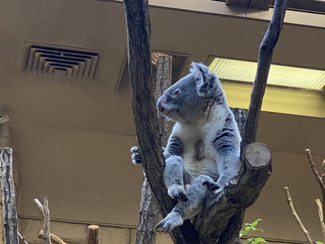 名古屋【東山動植物園】