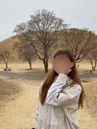 <경주> 황리단길 옆에 위치한 경주 대릉원